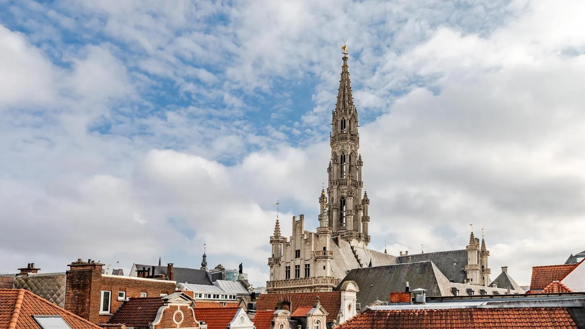 Exclusive 2Br With Unesco Views Brussels